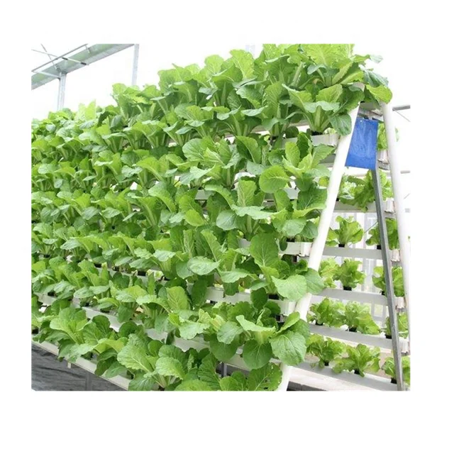 Procurement Festival Hot Sell Hydroponics System Vertical Greenhouse Hydroponics Vertical Hydroponic