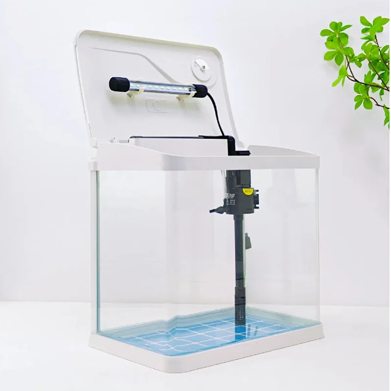 Rushed Glass Wall Fish Tank Aquarium Stocked Aquarium Fish Tank Lights Stocked Glass Tank Aquarium