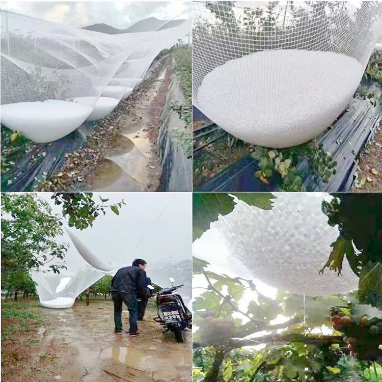 Недорогая Высококачественная сетчатая сетка HDPE с защитой от града
