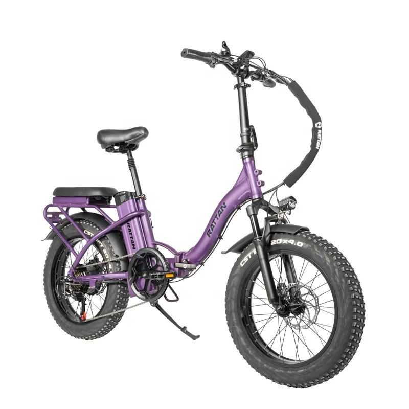 Rattan folding electric bike free shipping e bike 750 watt electric bicycle high speed israel electric bike