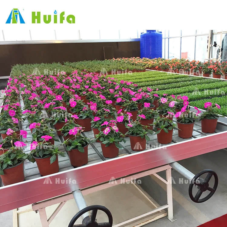 Customized greenhouse ebb and flow seed rolling bench hydroponic grow bed tray table systems rolling benches