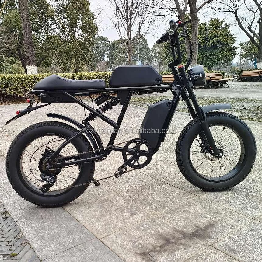 Brand New China Oem Ebike Double Battery 40km/h Speed 20inch 250w350w500w1000w 7speed Fold Dual Motor Electric Mountain Bike