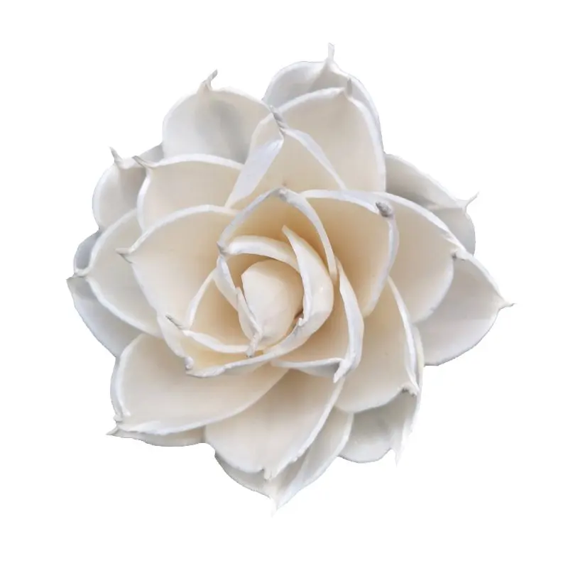 
65 Pack of Sola Indian Pony Flowers 8cm For Arrangements/DIY Gifts 