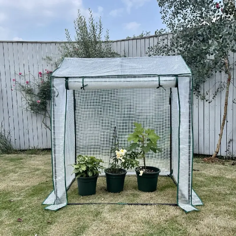 China Factory Export Cheap Greenhouse Structure Green House