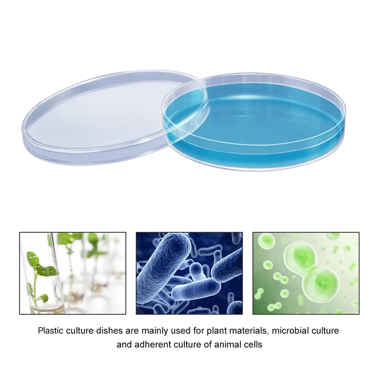 90*15mm Tissue Culture Plate Cell Culture Dish Sterilized 90mm Petri Dish for Lab