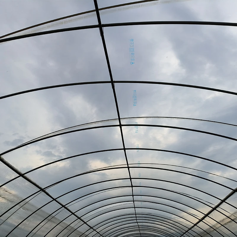 Factory Supply Agricultural Greenhouses Wholesale Manufacture of Covered Plastic Film with Stable Function