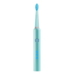 PT21 Free Sample 10 Years Oral Care Factory USB Rechargeable Powered Vibrate Automatic Sonic Electric Toothbrush