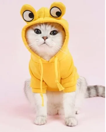 CuteHoodie Frog Shape Coats Pet Halloween Cosplay Costume Pet Clothes Hooded Sweatshirt for Puppies Cat