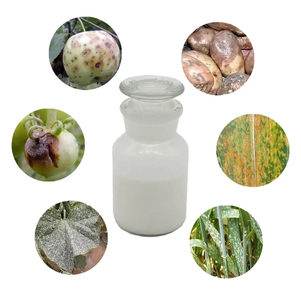 Смесь Azoxystrobin 20 difenoconazole azoxystrobin difenoconazole sc125 azoxystrobin 20% + difenoconazole 12.5% SC