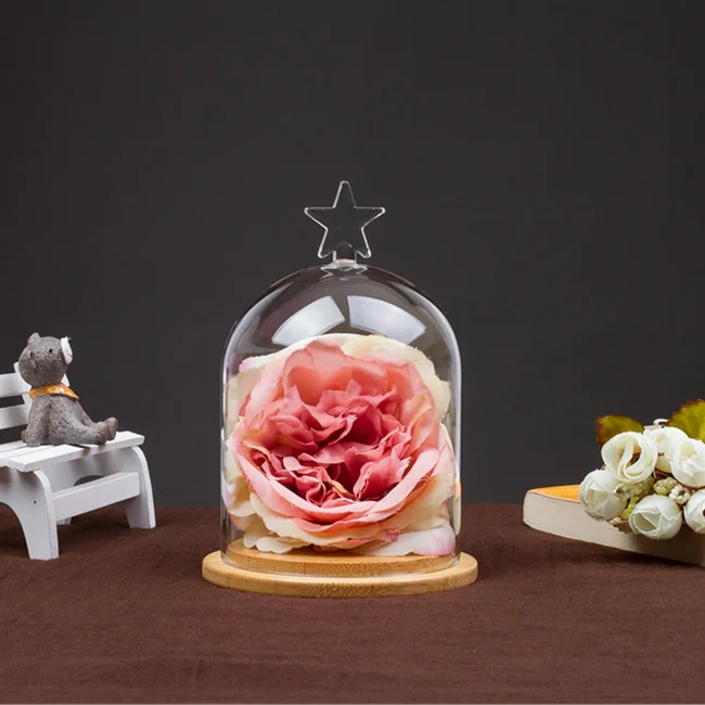 Wedding decor valentine gifts Custom Large Small Bell Glass Cloche with lights glass bell dome jar with LED light wooden base