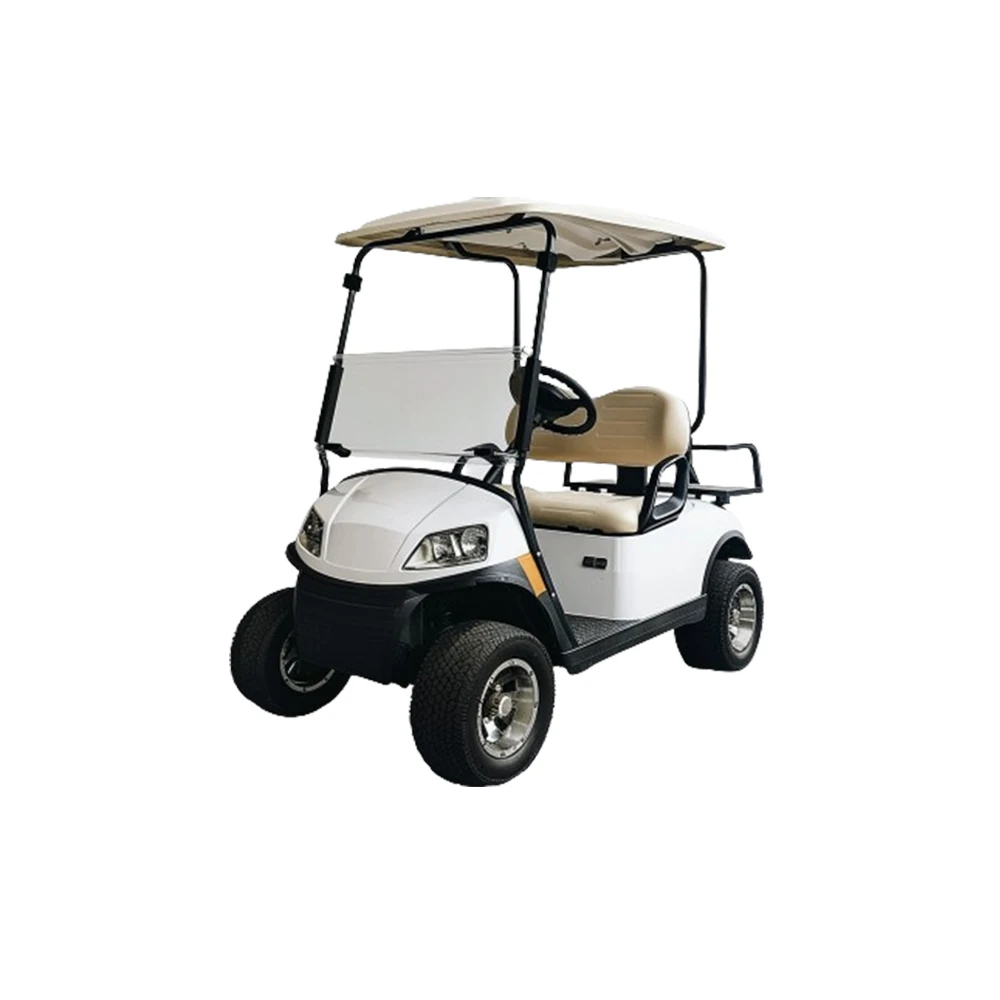golf carts pakistan vintage golf cart golf carts 2 passengers