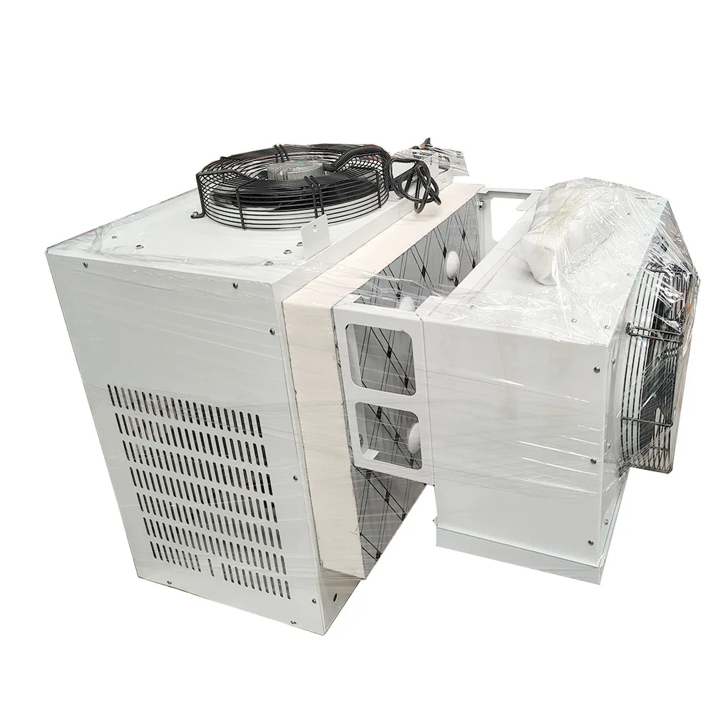 China Outdoor Exporting American Cold Storage Wall Mounted Refrigeration Equipment Freezer Mono block Refrigeration Condensing