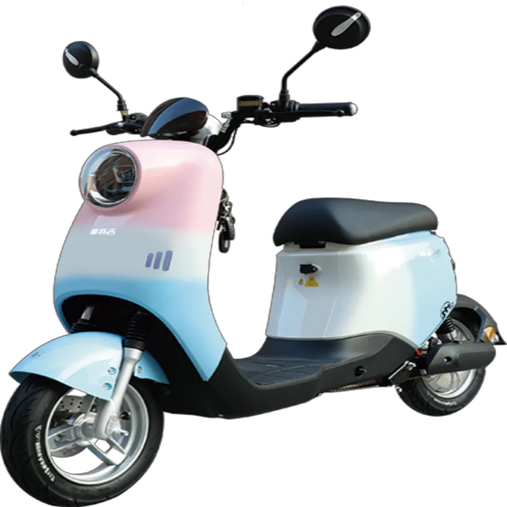 
Quilen 2021 China Factory Original high speed 1000w disc brake portable 10 inch two wheel electric motorcycles scooters adult 