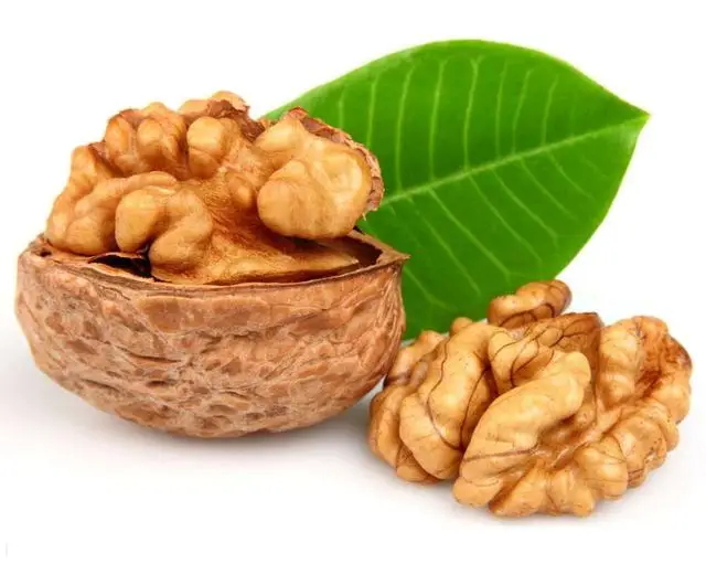 Chinese wholesale walnuts in shell