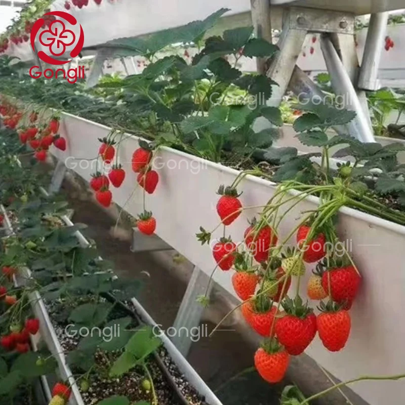 waterproof foam wall panels factory asapvc plastic sheet water Farm planting channel roofs accessory for houses