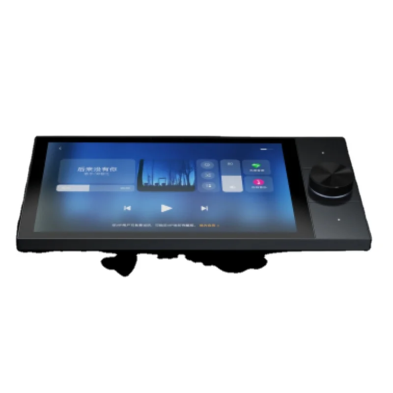 Tuya 10 Inch Central Control Panel With Music Play 2 Gang Relays 2 Way Speakers Multi-functional Smart Home