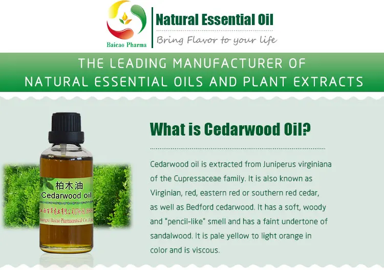 High Quality Cedarwood Terpene Essential Oil Cypress 100% Pure White Cedar Wood Oil for Perfume Fragrance Soap Cosmetic