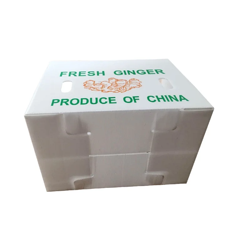 Ginger Box Ginger Plastic Box Fresh Ginger Plastic Packaging Box