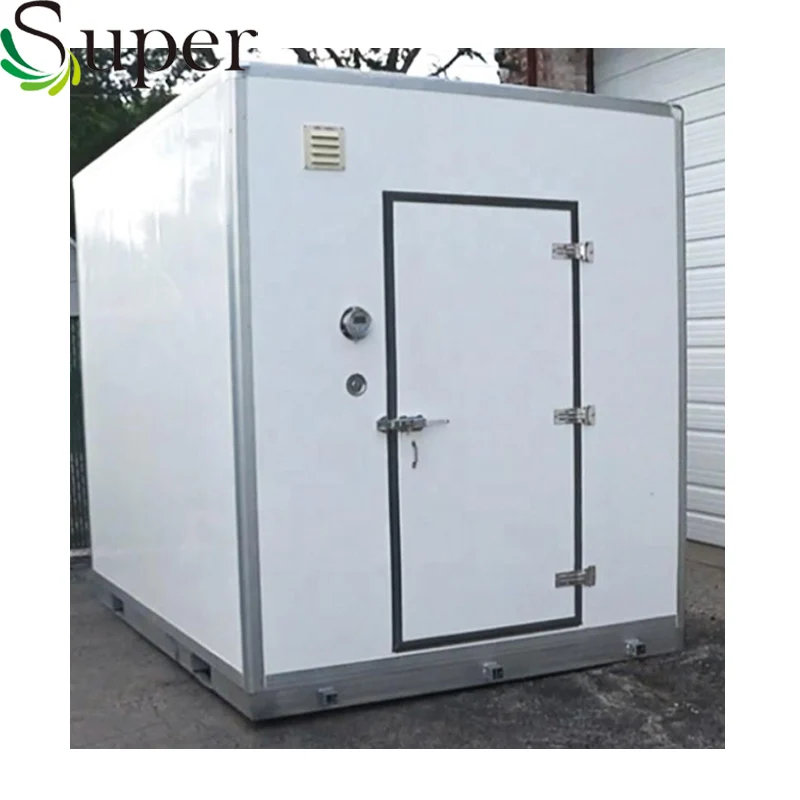 
Used Blast Freezer Fish Meat Chicken Cold Room for Sale 