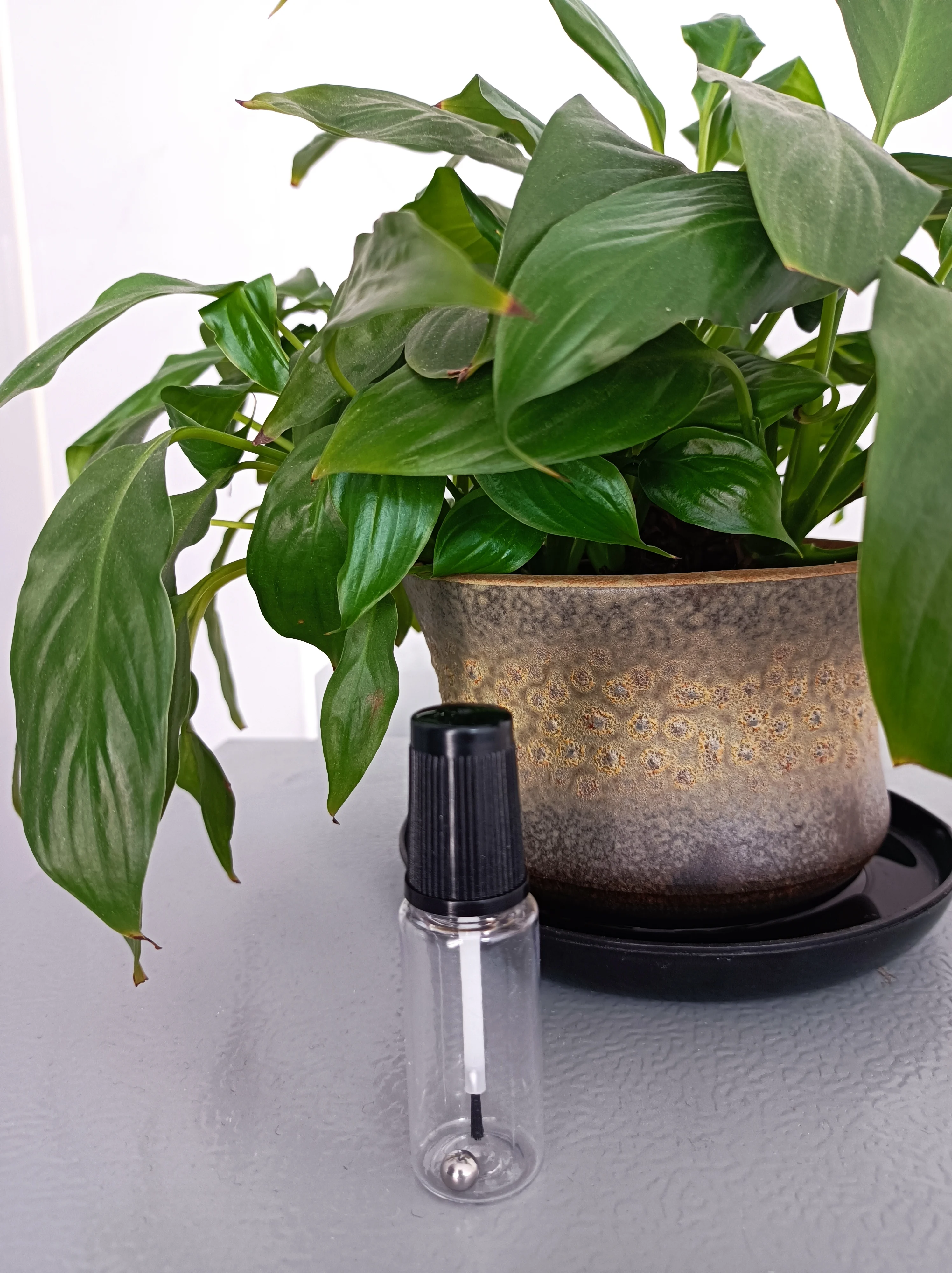 RPET 10ml Plastic Empty Brush Paint Touch-up Bottles Black 10ml PET Household Car Aerosol Petrol Products Screen Printing