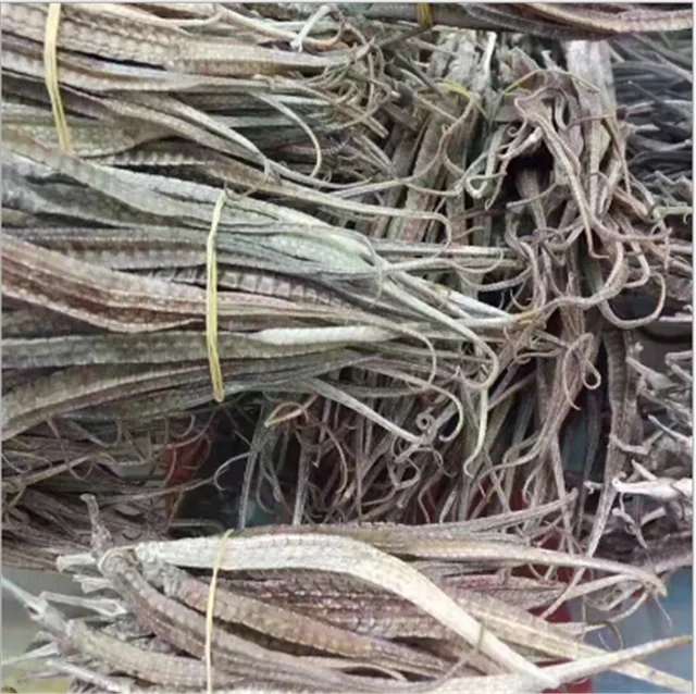
Hai long bulk herbal medicine dried key chain sea dragon/pipefish/Syngnathus 