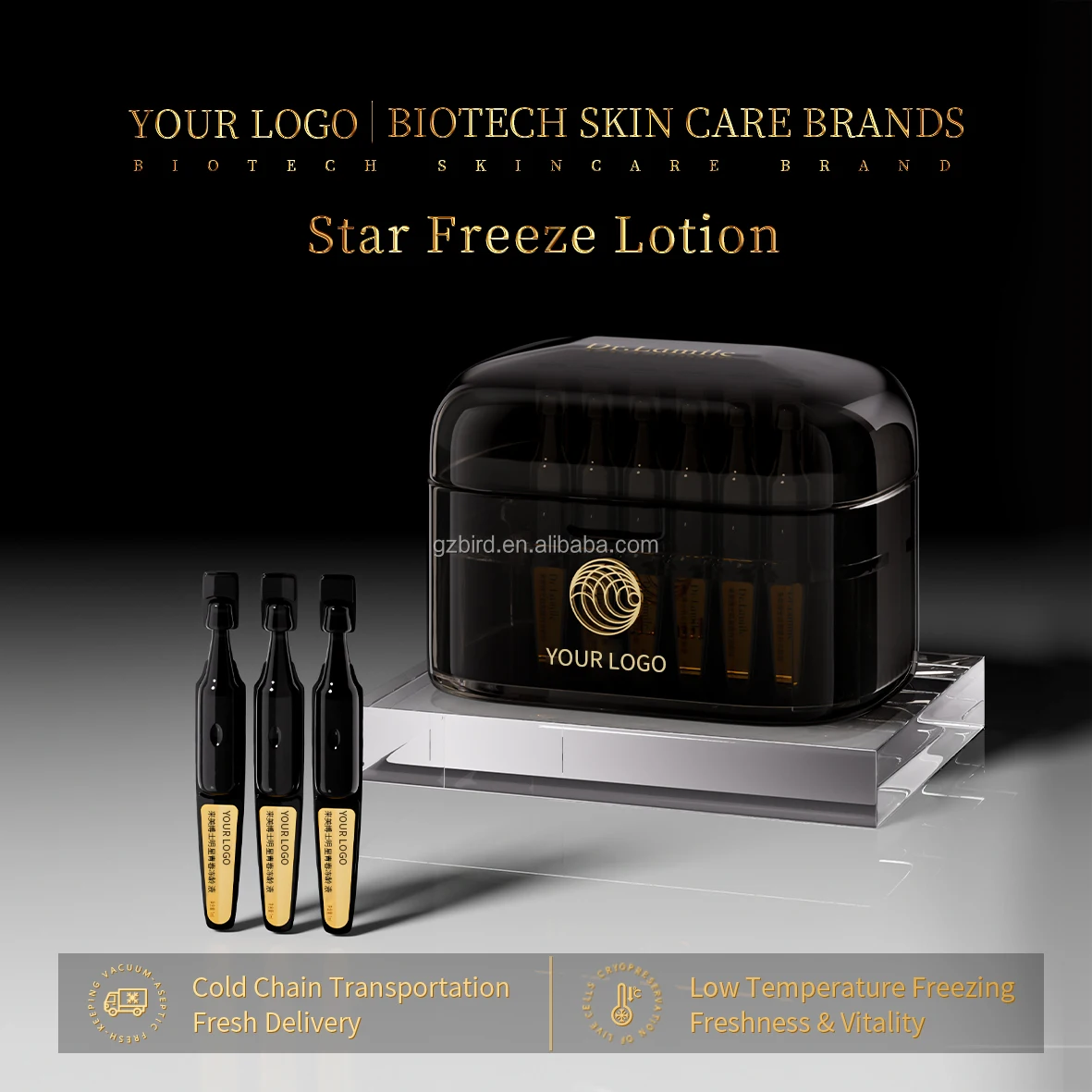 OEM Customized High-End Face Anti-Wrinkle Essence Cellular Youth Freeze Age Liquid Bottom Lifting Whitening Skin Care Products