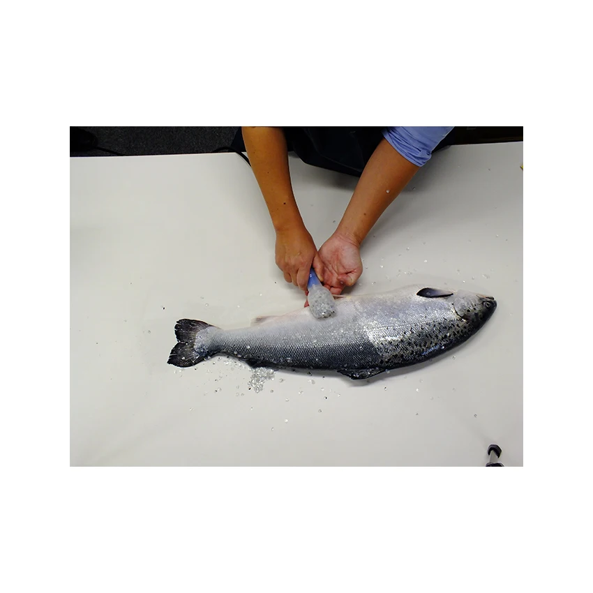 
Japanese safety fish meal processing line equipment for sale 