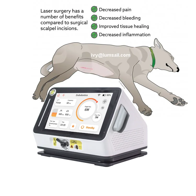 laser veterinary s.png