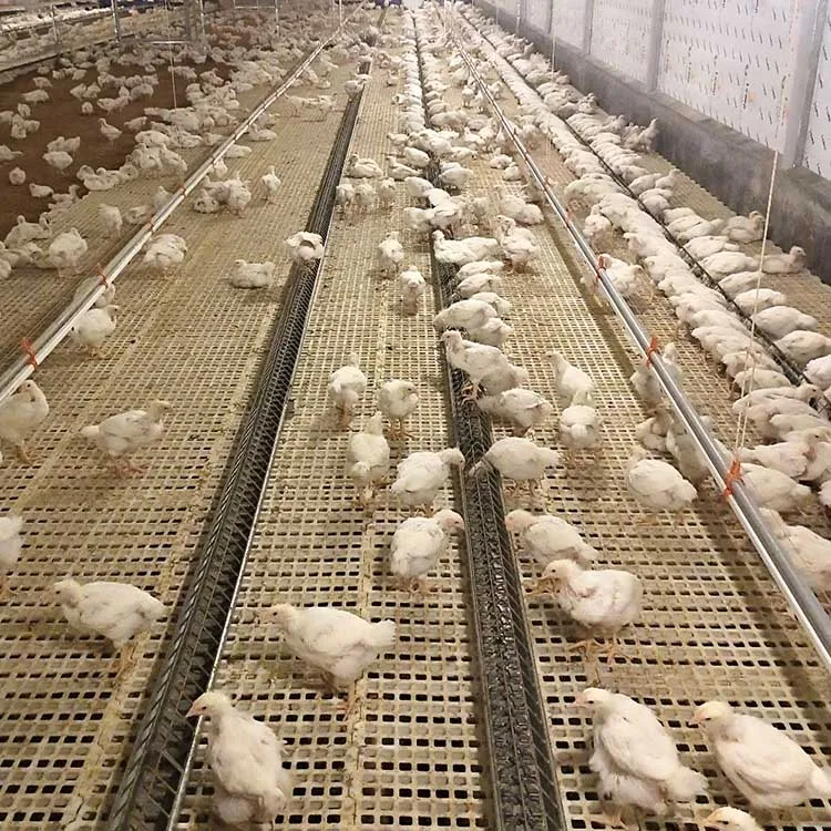 Chicken Chain Line Automatic Chain Feeder Breeder Feeding System Poultry Hens Free Range Farming Equipment