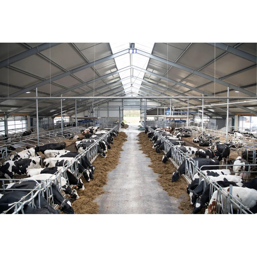 Prefabricated Metal Barn Warehouse Building Prefab Chicken House Cow Shed Pig Farm Steel Structure Warehouse Workshop Factory