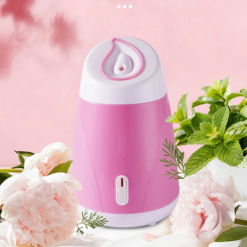 Hot Sale Popular Cusotom Label Mist Spray Face Spa Equipment Portable Ionic Facial Steamer Professional Dropshipping