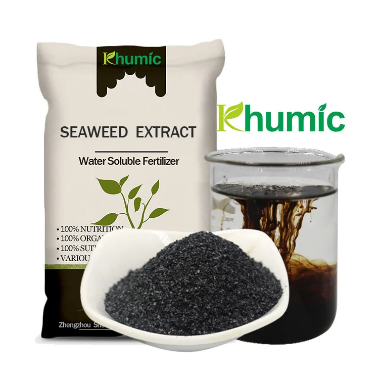 100% fresh nutrients complement 20% root development agent Alginic acid  Factory seaweed extract fertilizer