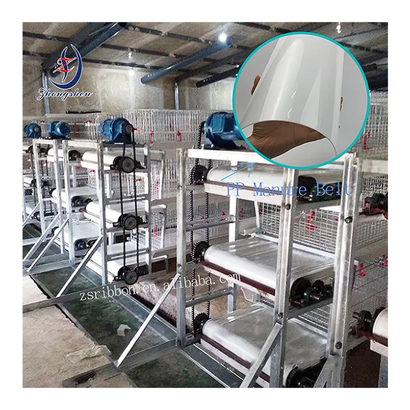 Chinese Factory Direct Sale Animal Husbandry Equipment Polypropylene PP Manure Belt