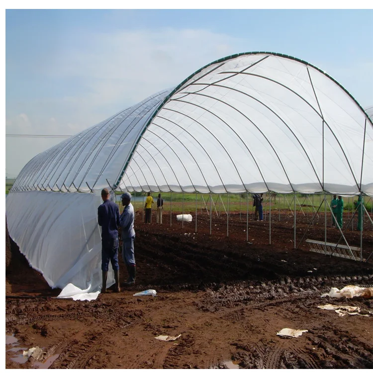 Agricultural product poly tunnel multi-span greenhouses with hydroponic growing system