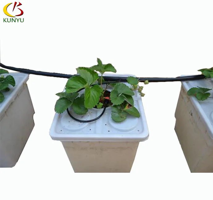 Commercial complete  dutch bucket irrigation system for greenhouse hydroponic growing tomato/cucumber/pepper