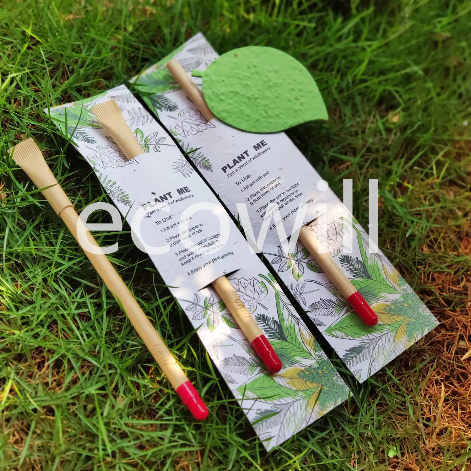 
 Травяные семена бумаги шариковая ручка задняя карточка с семенами Чили и перца  