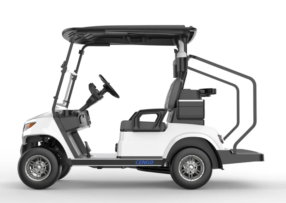 Deluxe 2 Seats Electric Golf Cart Lithium Battery Lead Acid Battery