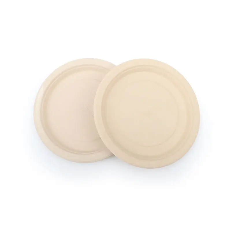 Compostable Food Container Sugarcane Bagasse Eco Friendly Disposable Tableware Plate Biodegradable Bamboo Europe Party Round