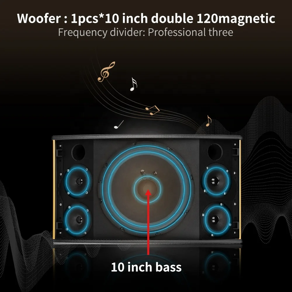 InAndOn 10 inch Black Matte Iron Mesh Professional KTV Karaoke Audio Set Entertainment Set Sound Equipment Home Theater Speaker