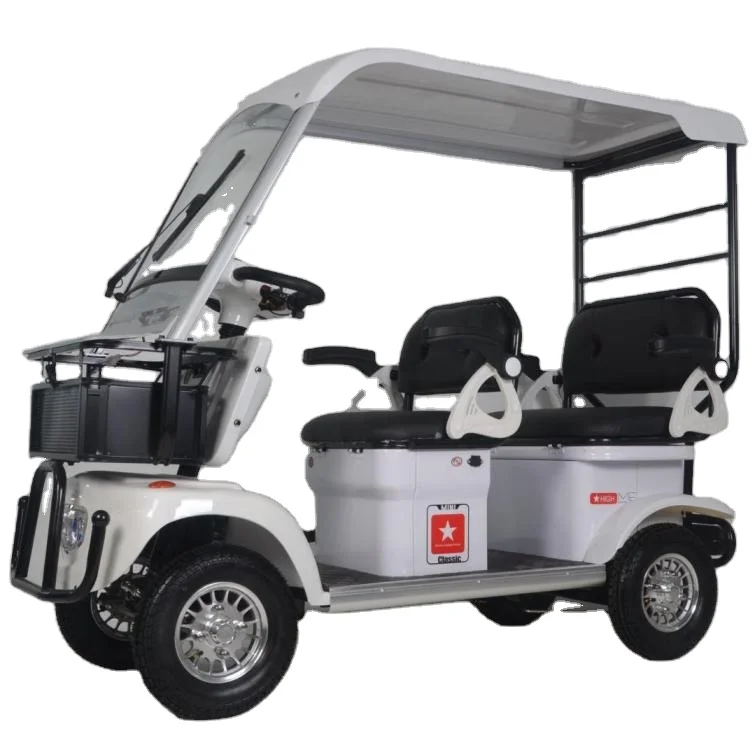 Tricycle Electric Scooter 4 Wheel Motorcycle Electric Cargo Bike