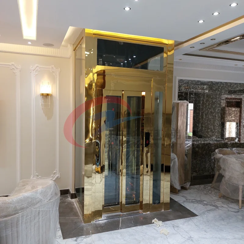 Traction Drive electric  Custom Design Villa House Lift Passenger Lift Home residential elevator 2-6 people