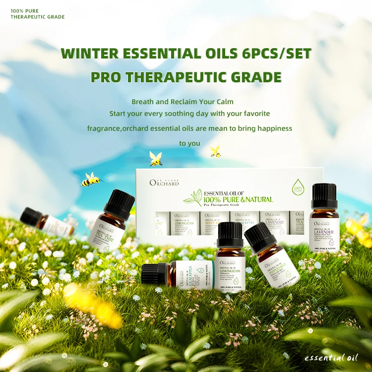 Aromatherapy Cheap Price Natural Essential Oils set 100% Pure  - Top Basic Sampler Gift Set & Premium Kit - 6 / 10 ML