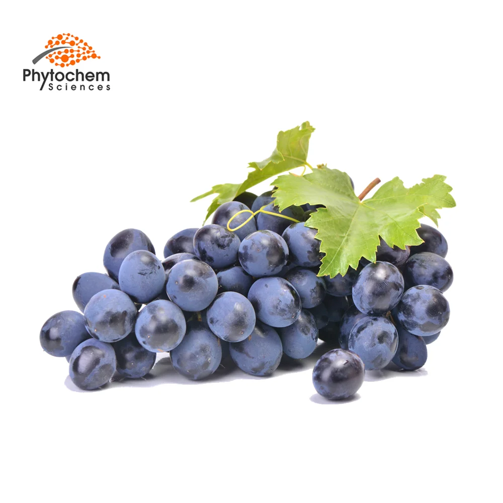 health & supplement kosher chardonay seeds extract cold grape seed oil extraction machine