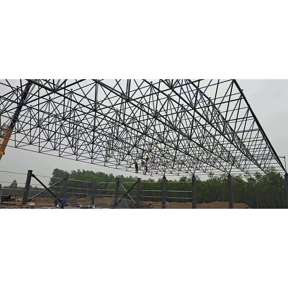 New Design and Structural Optimization of Long-Span Steel Space Frame Systems for Modern Aircraft Hangars
