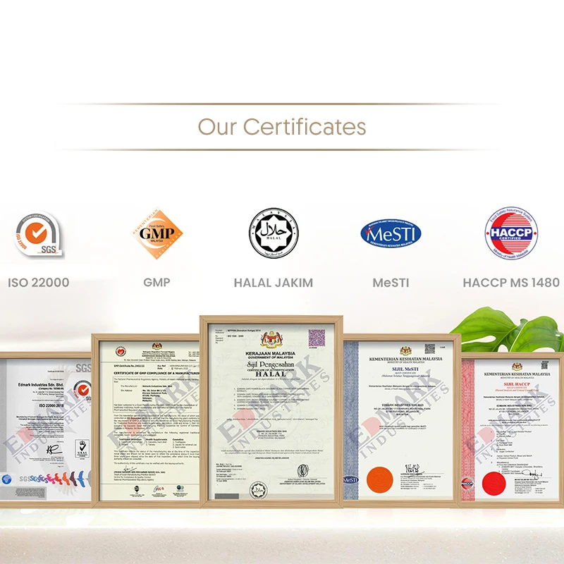 Practical Choice Multipurpose Cleaner Versatile Formula for Laundry and Beyond