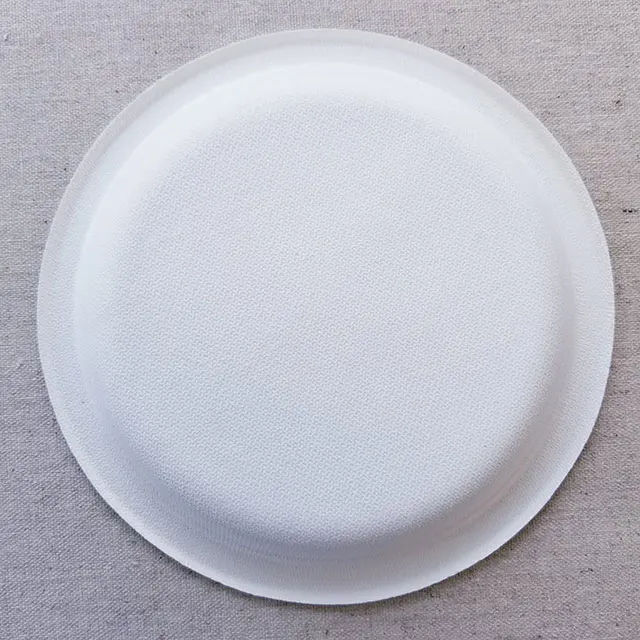 
Disposable Biodegradable Sugarcane Bagasse Tableware 
