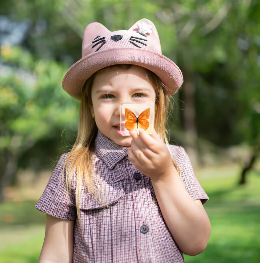 Real Butterfly Taxidermy Dried Insect Embedded in Crystal Acrylic Resin for Decorative Display Butterfly Specimen