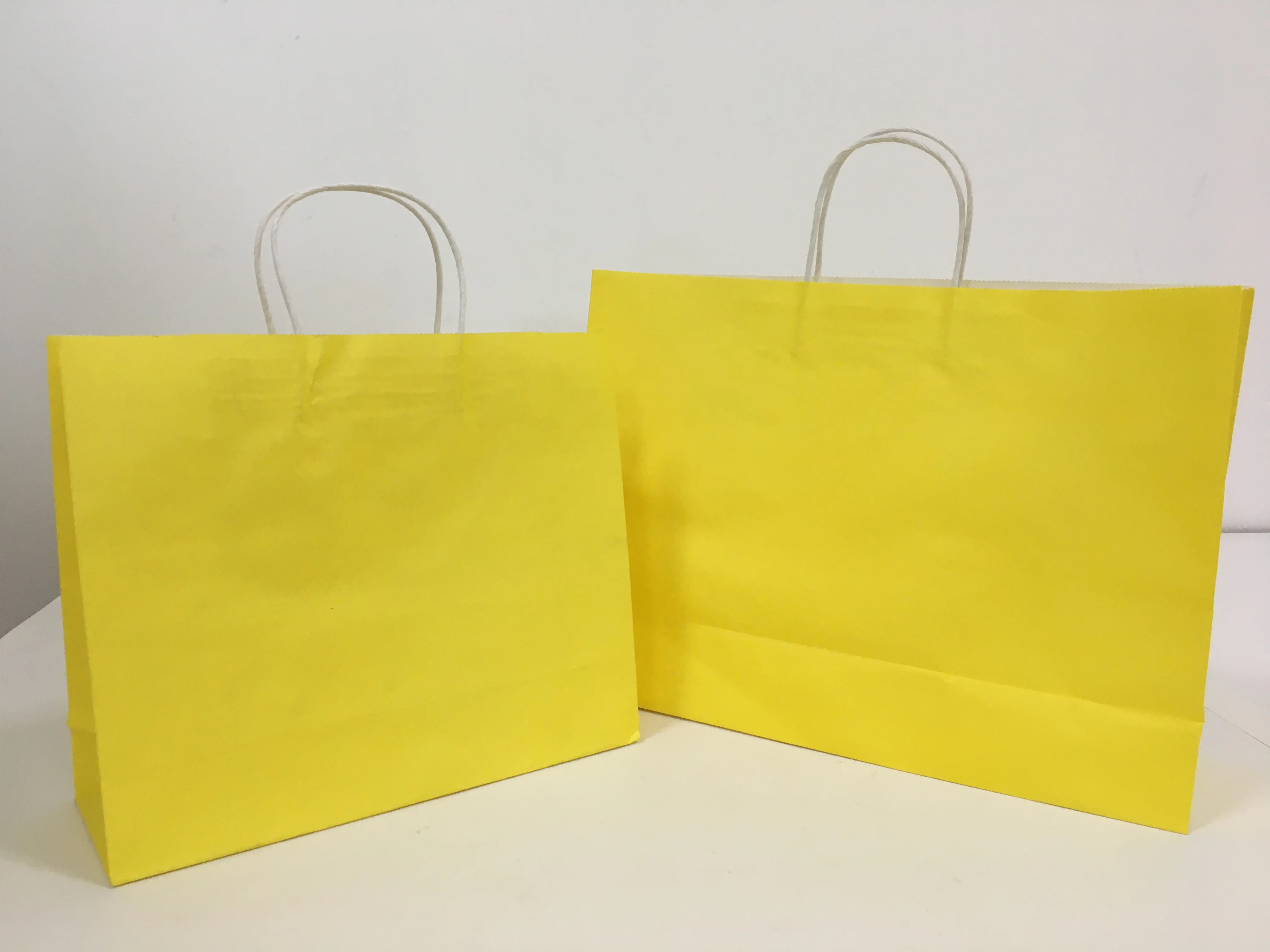 Factory Full color printed White And Brown Kraft Paper Twisted Handle Shopping Carrier Bag With Logo Printed