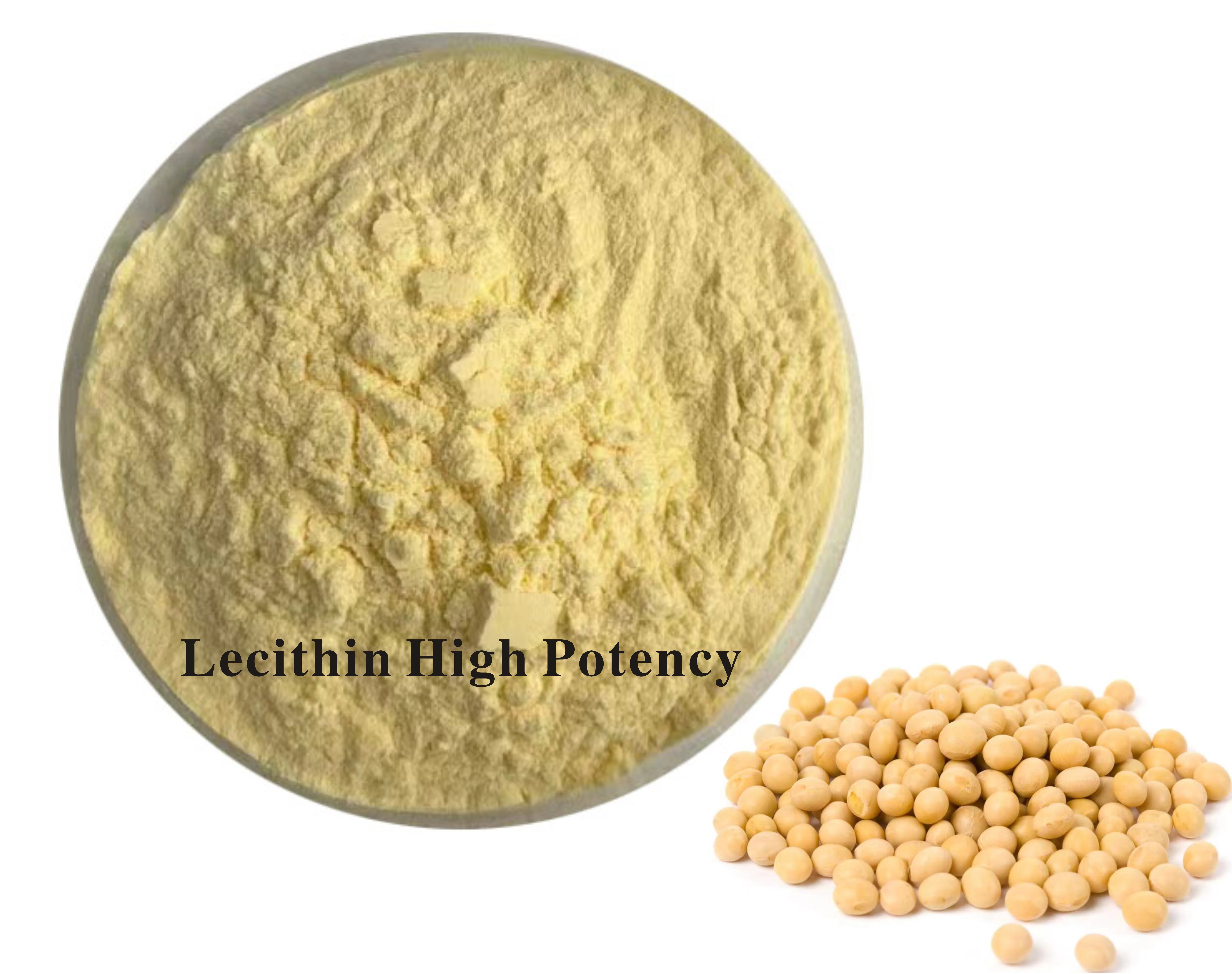 Top quality Nutritional Supplement Soybean Lecithin Powder Food Grade Lecithin High Potency