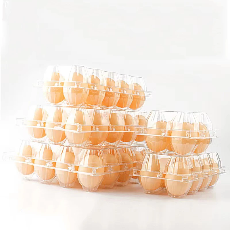 Empty Transparent Disposable Plastic Egg Packaging Box With 4/6/8/10/12 Holes DIY Home Decor